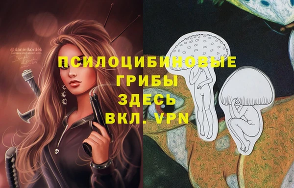 mdpv Кулебаки